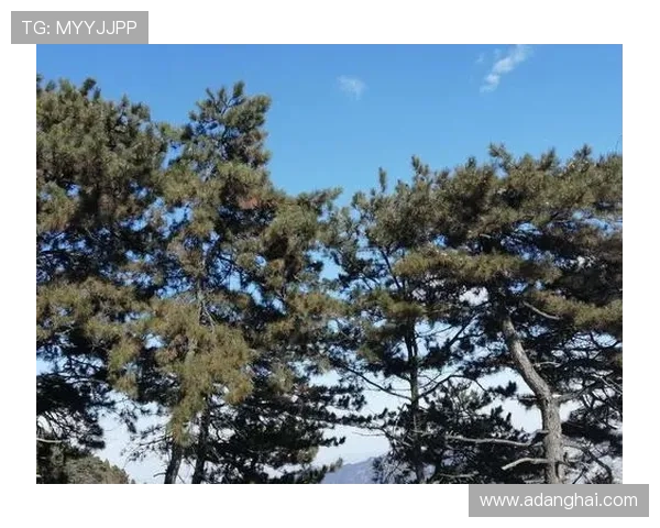 凯发在线平台官方网站展示丰富的用户评价与成功案例，增强新用户信心