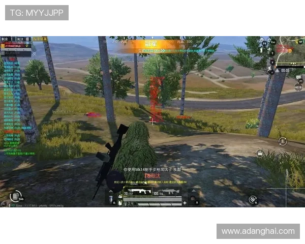 凯发·k8官网不断丰富游戏种类满足不同玩家的多样化需求