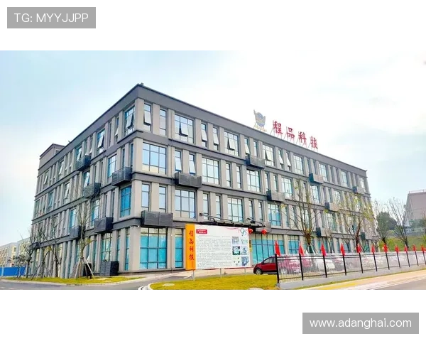 ag凯发k8国际客户服务支持体系详解确保玩家在游戏过程中无后顾之忧