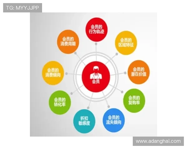 提升k8网站登录会员登录安全性的全面策略与建议