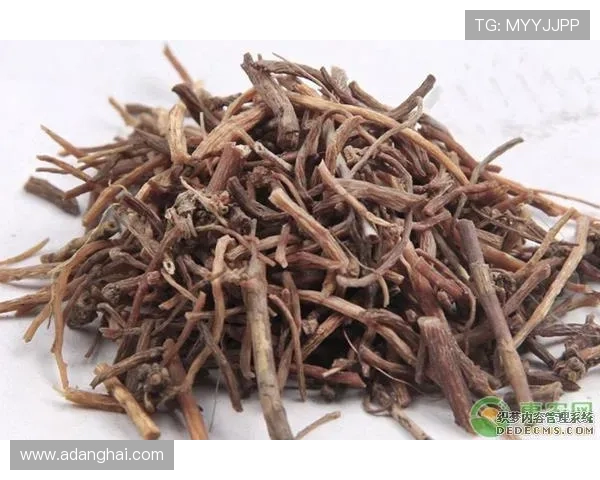 凯发直播旗舰厅客户端的版本更新内容，了解最新功能与优化提升方案