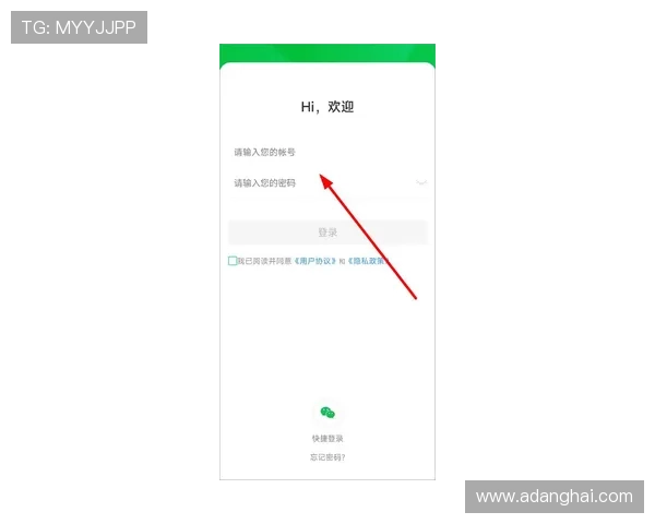 凯发网站登录入口官网：便捷安全的官方登录平台推荐